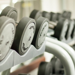 cactus fitness stefanikova 61 bardejov fitnescentrum na e-fitko.sk
