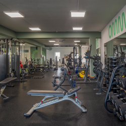 omnis vitality fitnescentrum skultetyho presov na efitko